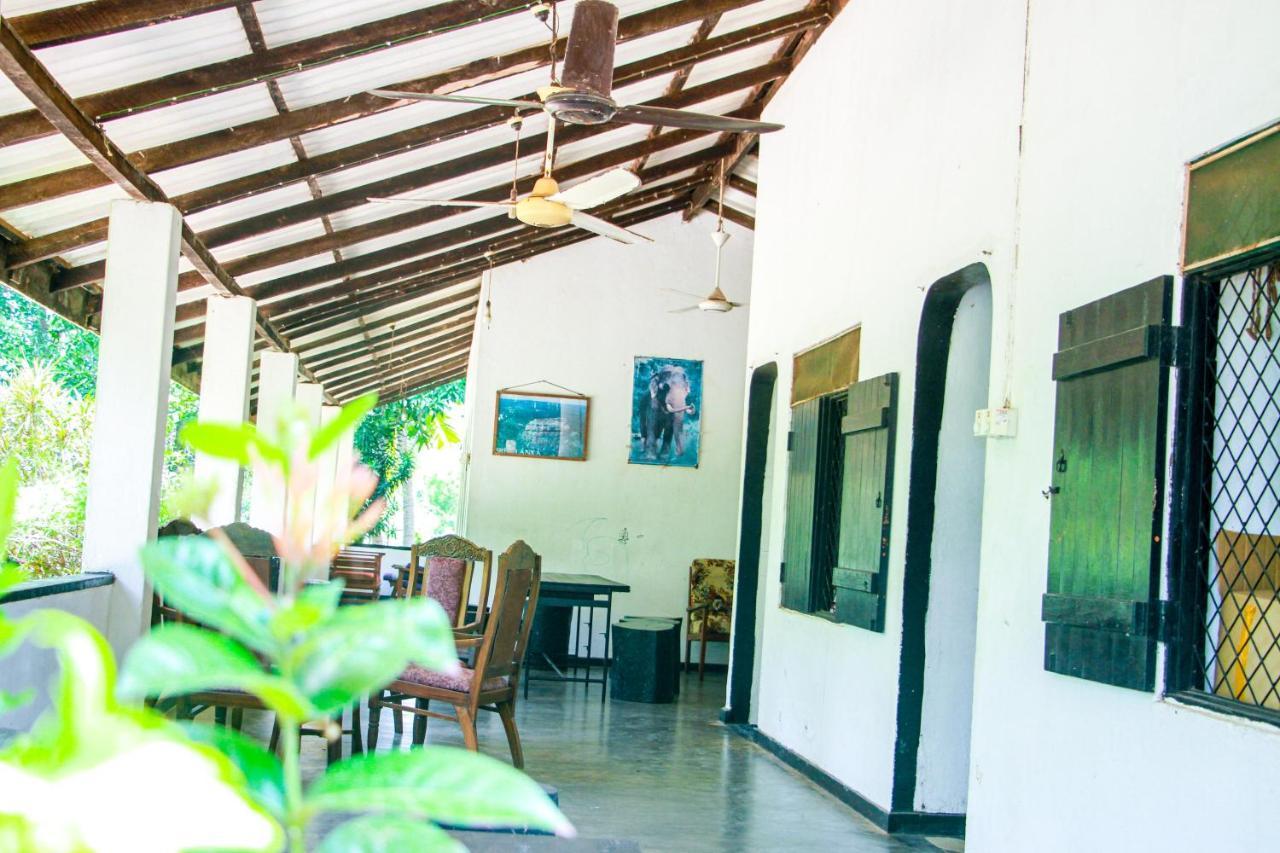 Banana Rest Sigiriya Bed & Breakfast Exterior foto