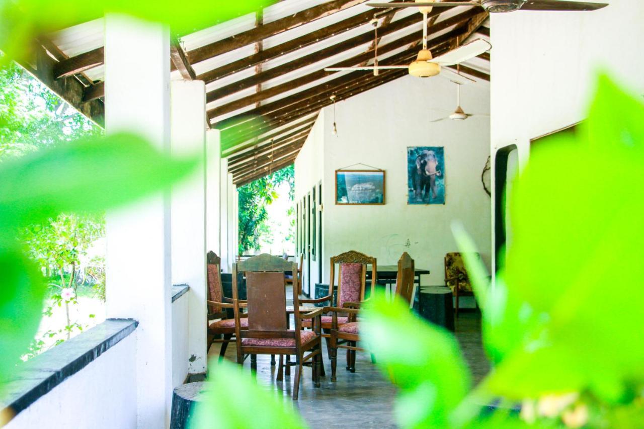 Banana Rest Sigiriya Bed & Breakfast Exterior foto