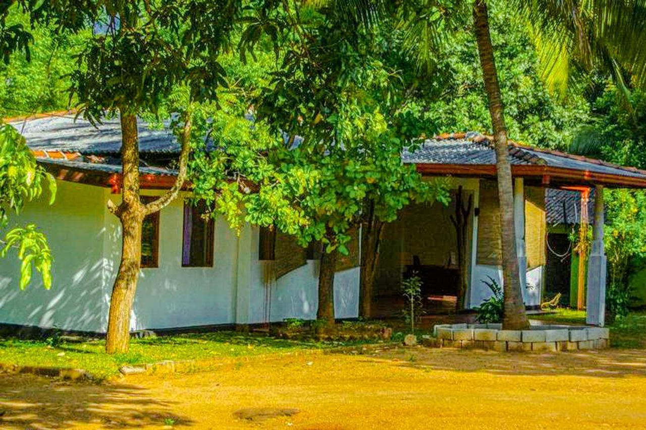 Banana Rest Sigiriya Bed & Breakfast Exterior foto