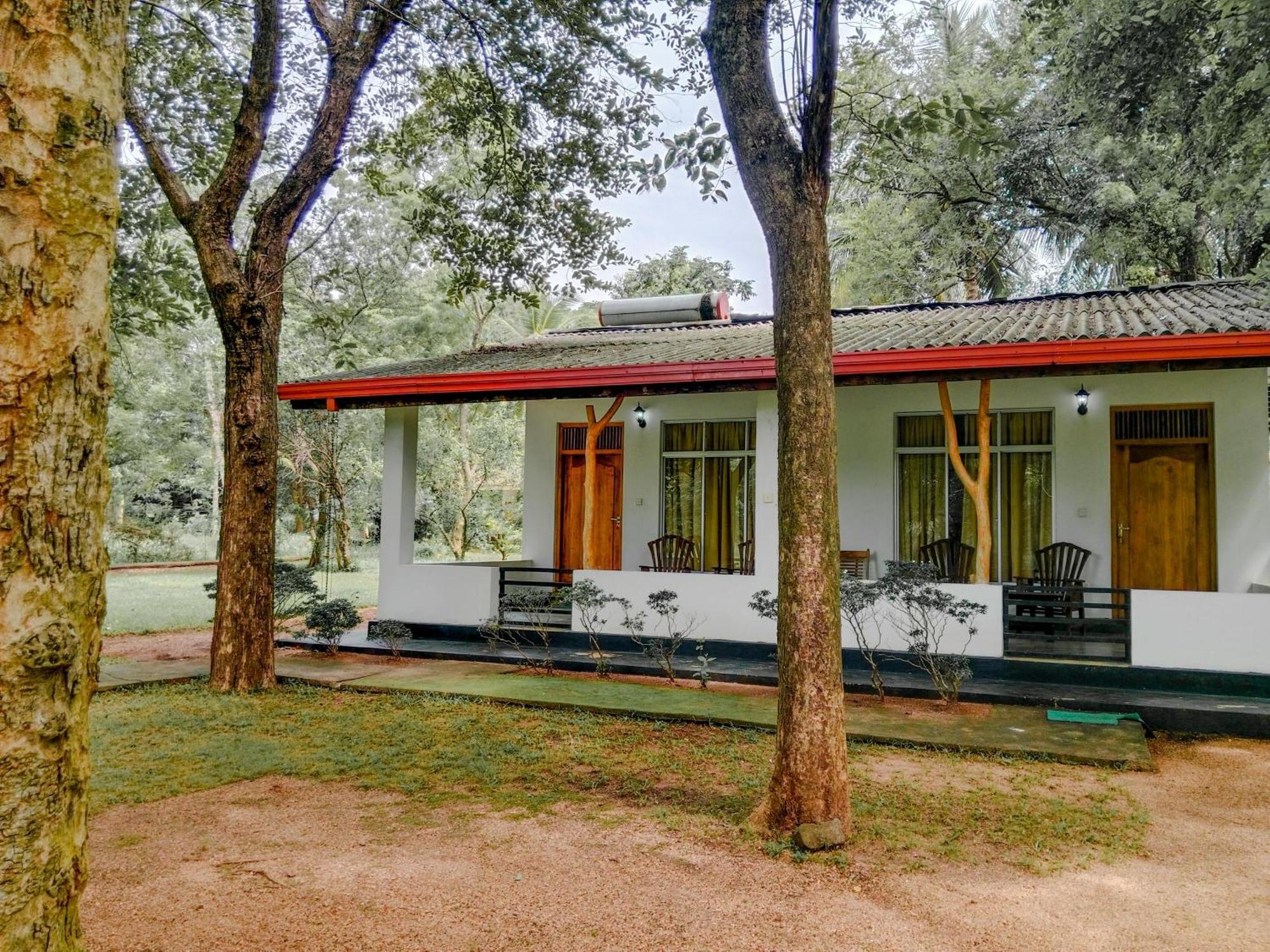 Banana Rest Sigiriya Bed & Breakfast Exterior foto