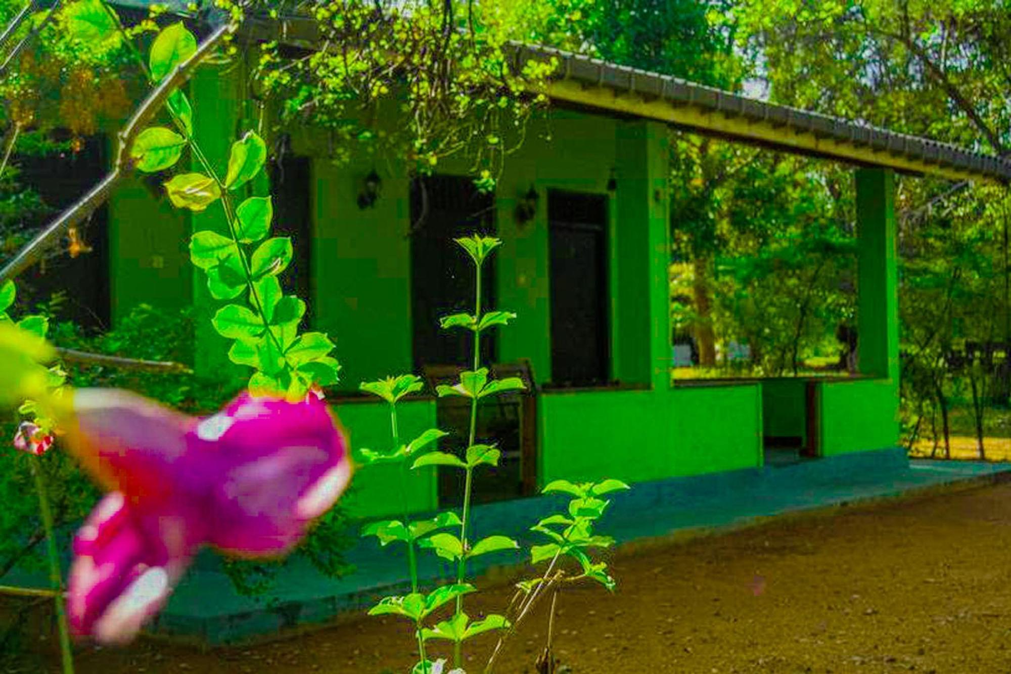 Banana Rest Sigiriya Bed & Breakfast Exterior foto