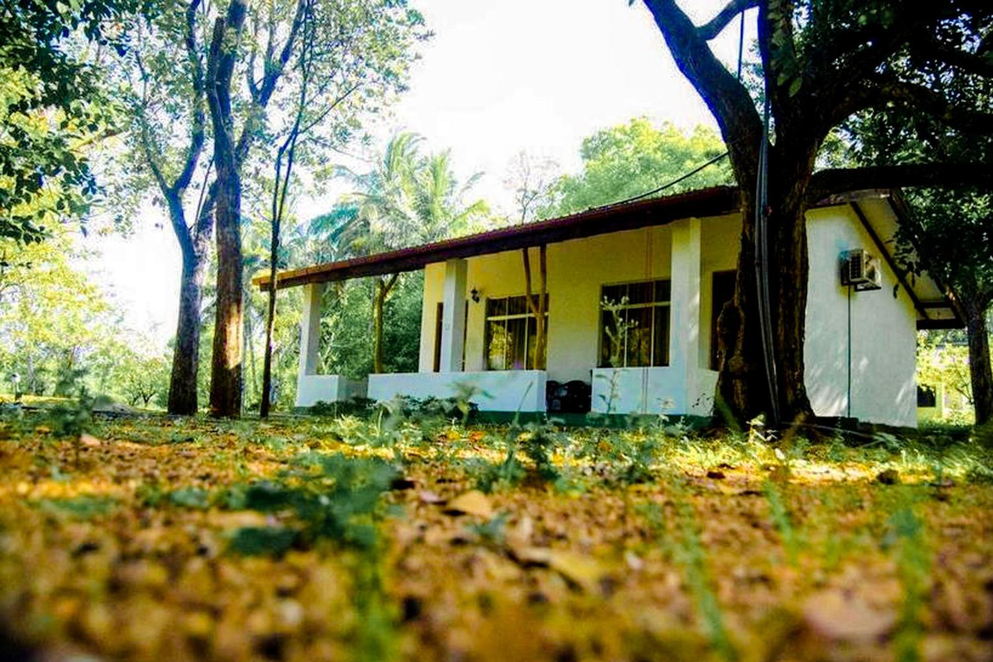 Banana Rest Sigiriya Bed & Breakfast Exterior foto