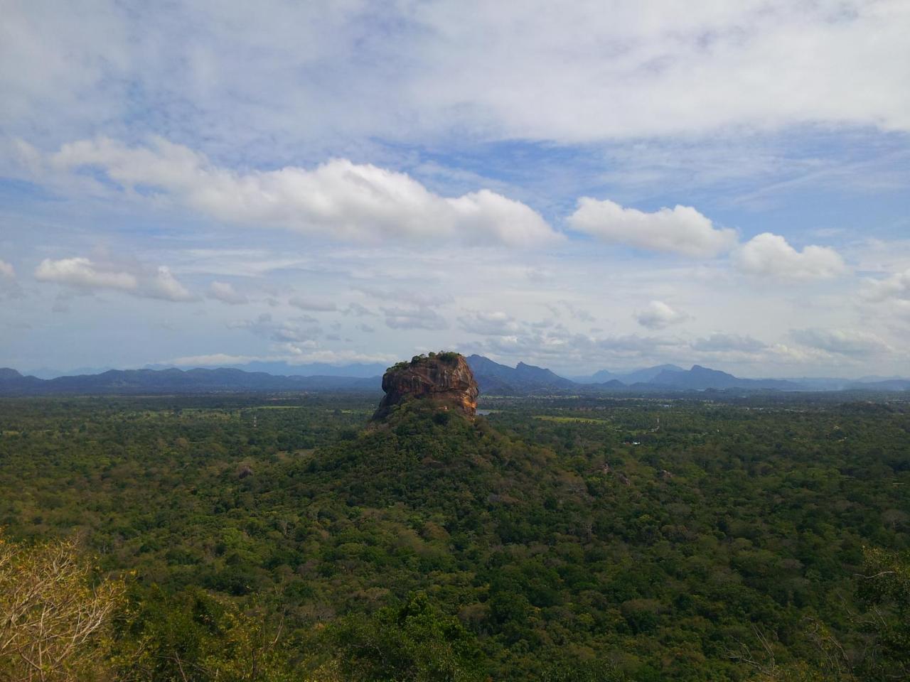 Banana Rest Sigiriya Bed & Breakfast Exterior foto
