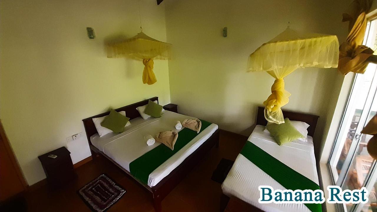 Banana Rest Sigiriya Bed & Breakfast Exterior foto