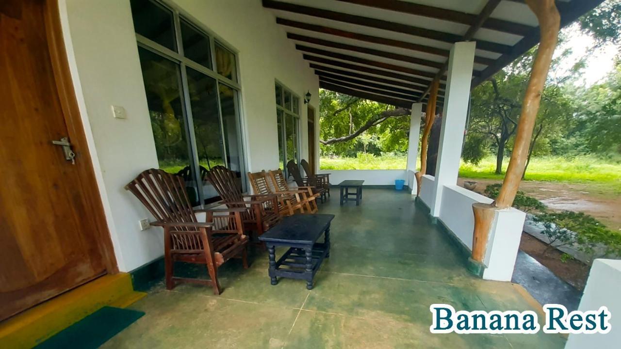 Banana Rest Sigiriya Bed & Breakfast Exterior foto
