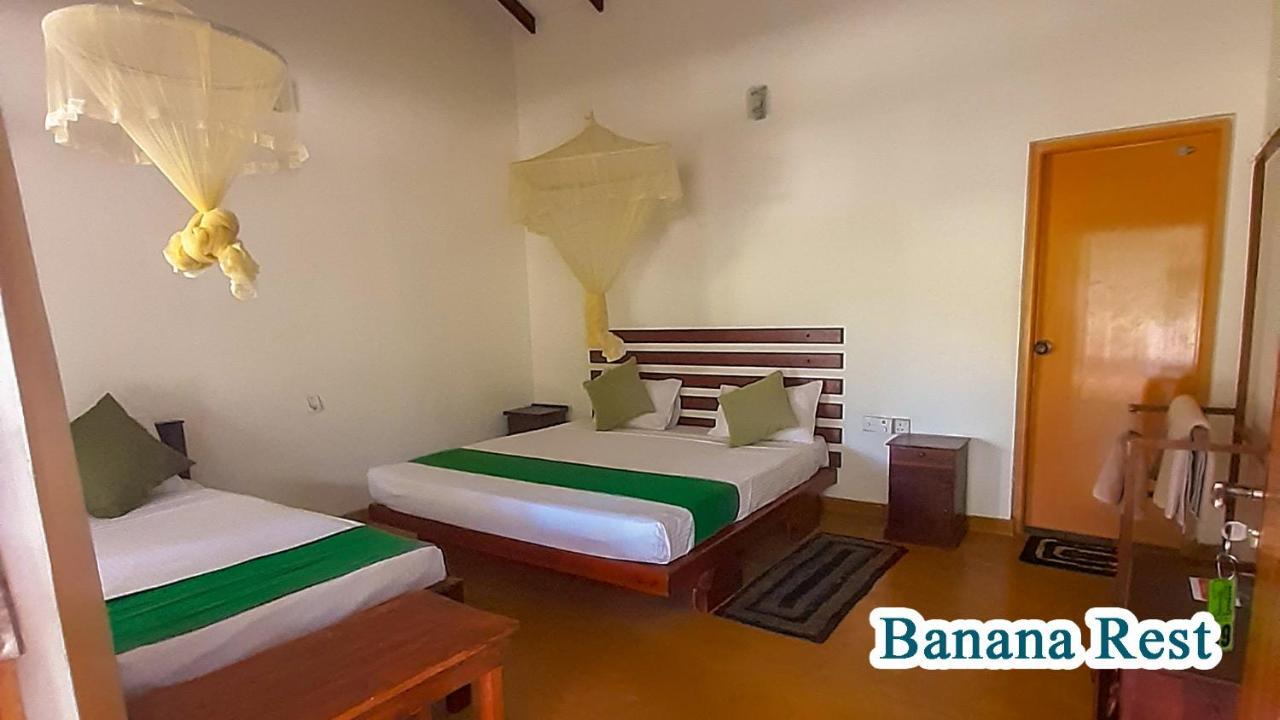 Banana Rest Sigiriya Bed & Breakfast Exterior foto